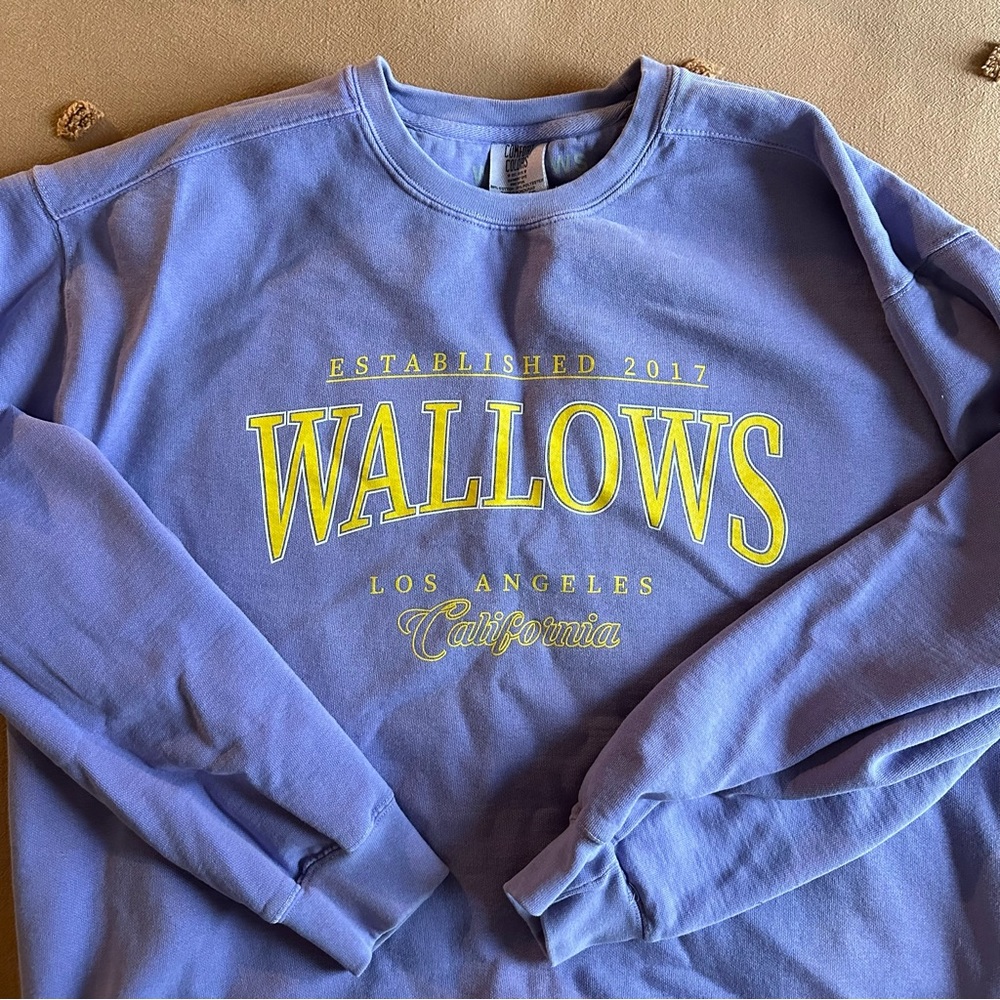 Official Wallows Crewneck - XL